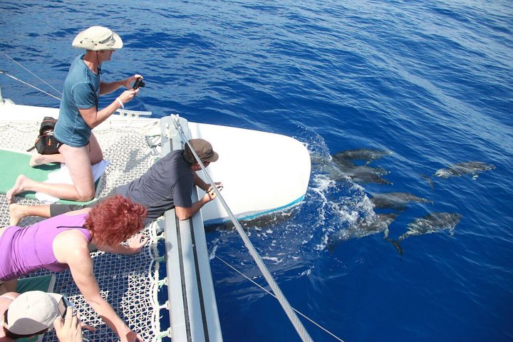 Arieiro Peak & Cristo Rei in 4x4 Tour + Dolphins Watching - Image 3
