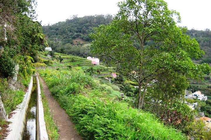 Beatiful Maroco & Vale Das Mimosas Walk - Image 5