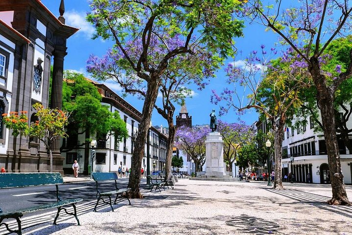Best of Funchal private walking tour with local specialities tasting - Image 4