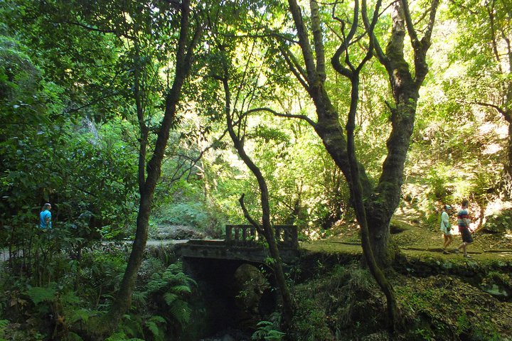 "Biosphere Reserve" & Arieiro Peak Full day Tour in Open Roof 4x4 - Image 5