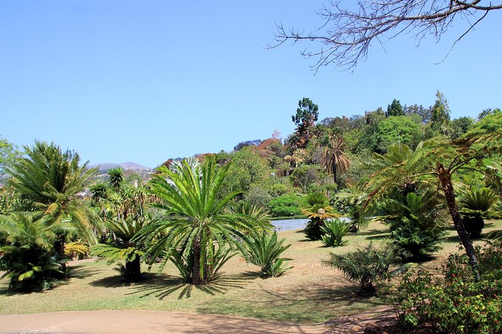 Botanic Garden (price per tukxi - up to 3 people) - Image 4