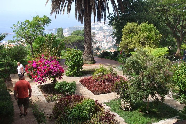 Botanic Garden (price per tukxi - up to 3 people) - Image 3