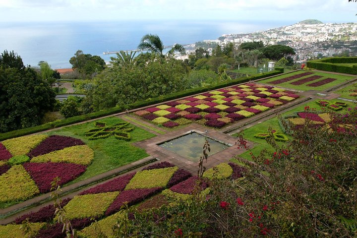 Botanic Garden (price per tukxi - up to 3 people) - Image 2
