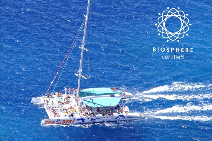 Cabo Girão Skywalk+Vineyards+Wine Tasting in 4x4 Tour + Dolphin Watching - Image 1