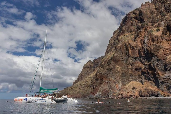 Cabo Girão Skywalk+Vineyards+Wine Tasting in 4x4 Tour + Dolphin Watching - Image 5