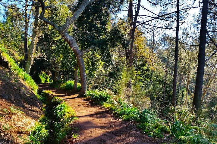 Charming Vale Paraiso & Rochao Walk - Image 2