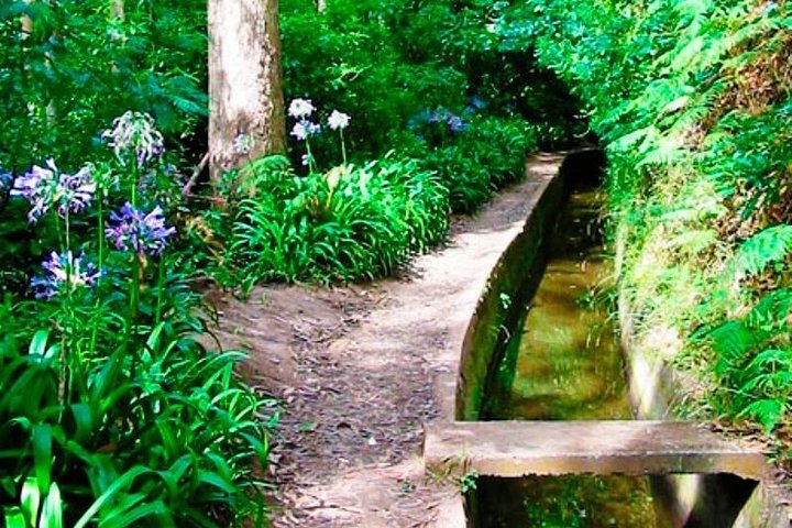 Charming Vale Paraiso & Rochao Walk - Image 3