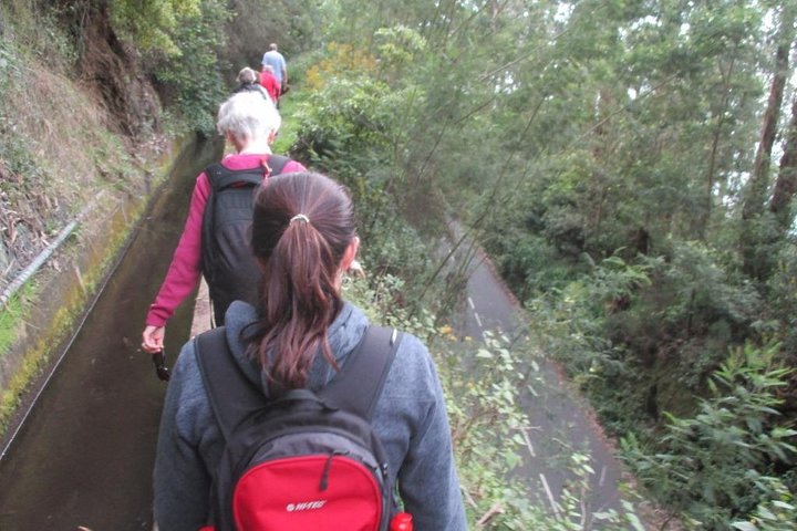 Curral dos Romeiros (Half Day Walk) - Image 1