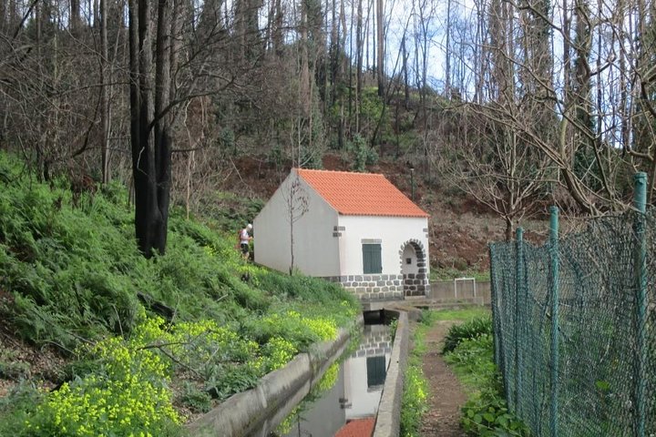 Curral dos Romeiros (Half Day Walk) - Image 5
