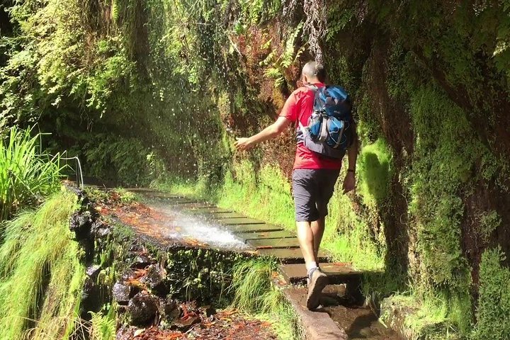 Endemic Levada do Rei Walk - Image 1