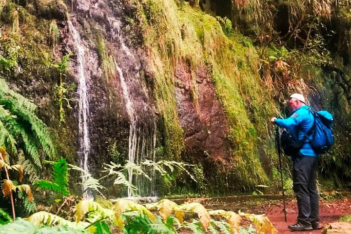 Endemic Levada do Rei Walk - Image 2