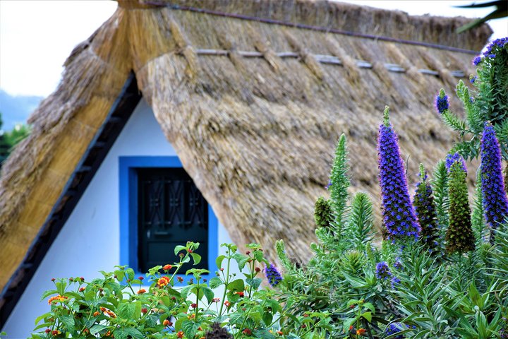 Full Day - Madeira East - Image 2