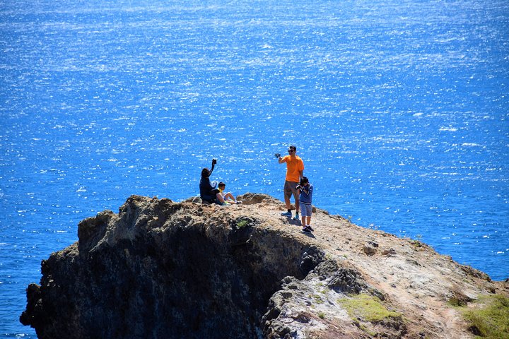 Full Day - Madeira East - Image 5