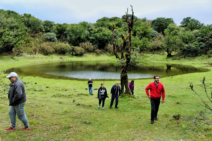 Full Day Private 4x4 Tour in West Madeira with Local Guide - Image 4