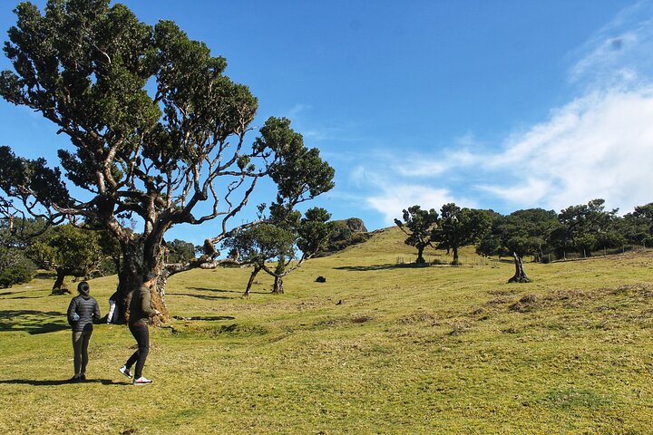 Full Day Private 4x4 Tour in West Madeira with Local Guide - Image 2