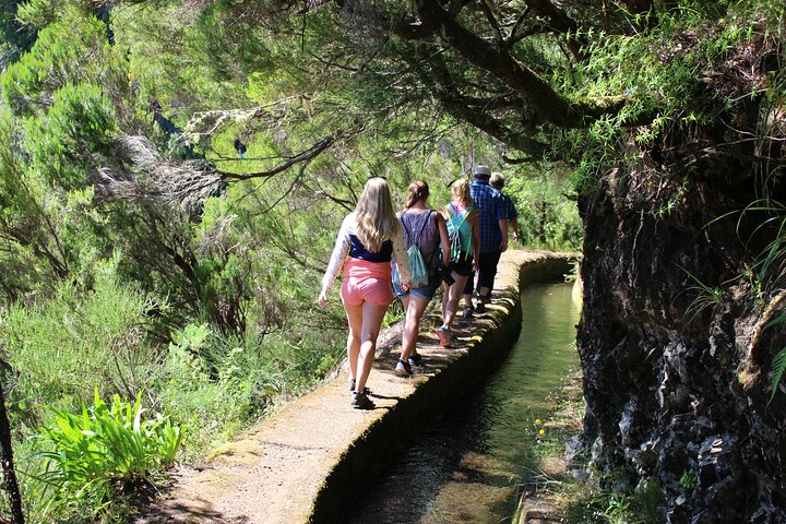 Full Day Tour in Porto Moniz with the Locals - Image 2