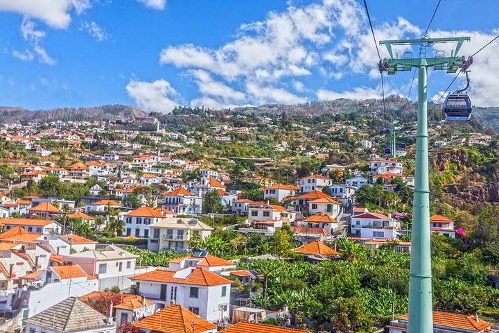 Funchal and South East Madeira highlights on a private 5-hour tour - Image 4