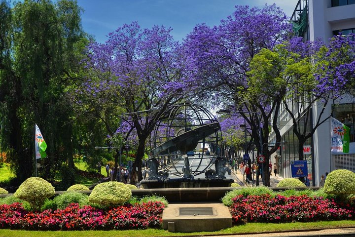 Funchal City Tour by Tukxi (price per tukxi - up to 5 people) - Image 3