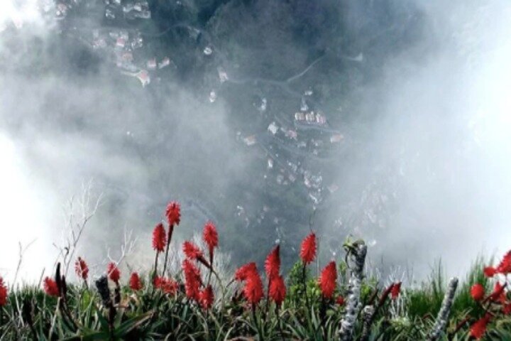 Funchal Shore Excursion:Private Stunning and scenic Nuns Valley Tour - Image 5