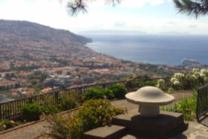 Funchal Shore Excursion:Private Stunning and scenic Nuns Valley Tour - Image 1