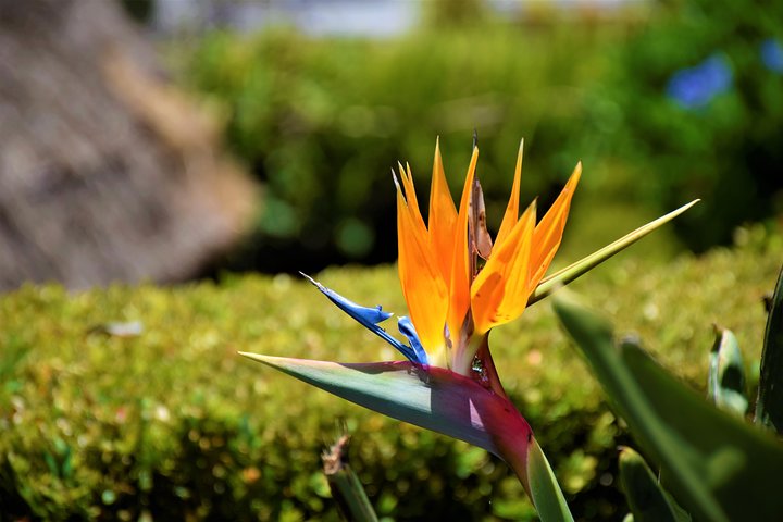 Go East - The most beautiful tour - Image 4