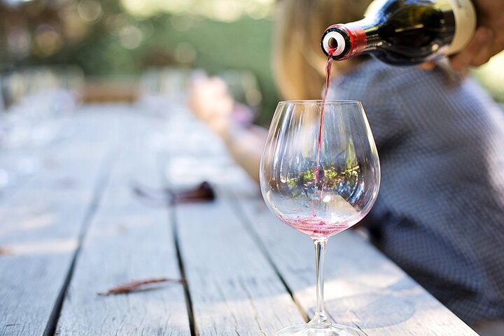 Half-Day Wine Tour in Madeira - Image 5