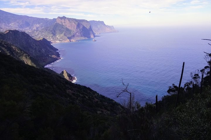 Hike Larano, Boca do Risco Porto da Cruz Levada in a small group - Image 5