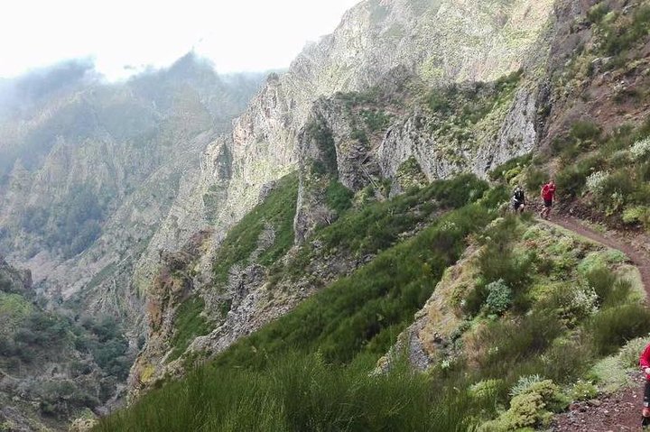 Hike Larano, Boca do Risco Porto da Cruz Levada in a small group - Image 3