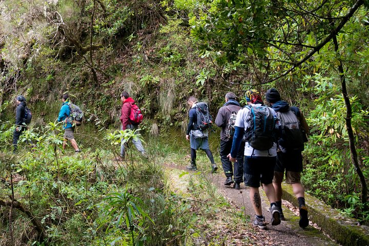 Hiking and Trekking tours in Madeira - Image 1