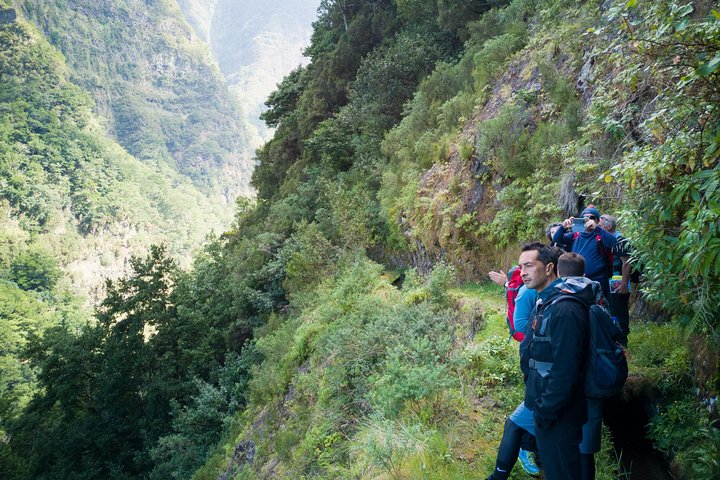 Hiking and Trekking tours in Madeira - Image 3