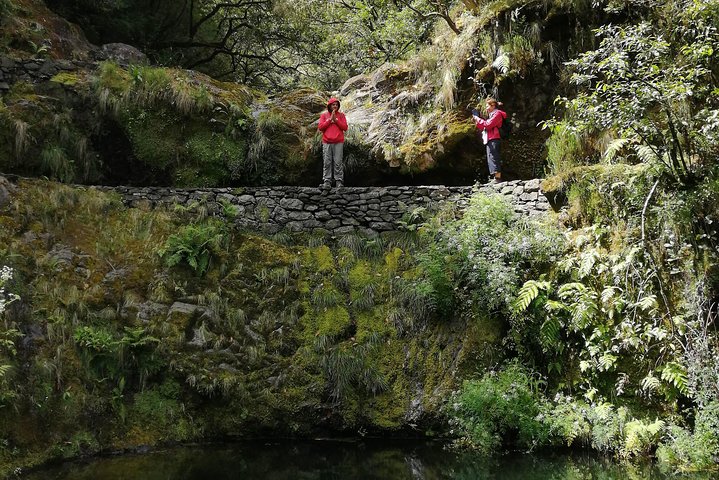 Hiking and Trekking tours in Madeira - Image 5
