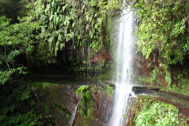King's Levada / Ribeiro Bonito - Image 1
