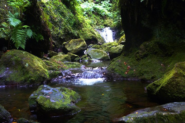 King's Levada / Ribeiro Bonito - Image 2