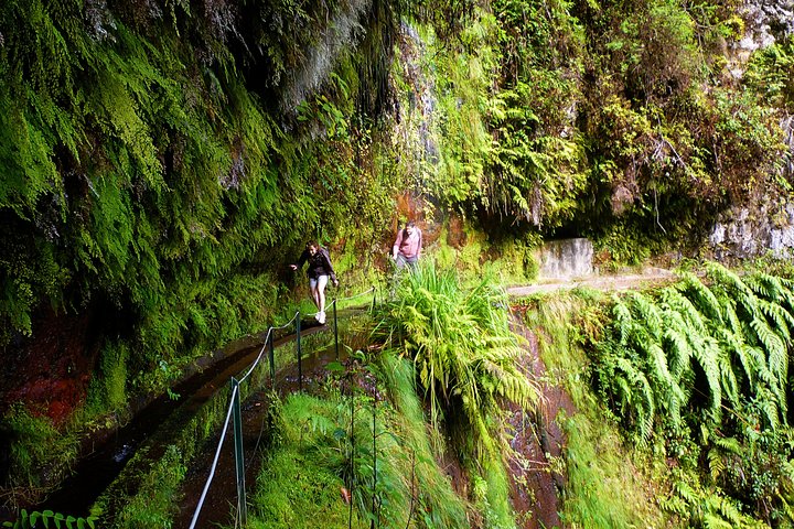 King's Levada / Ribeiro Bonito - Image 4