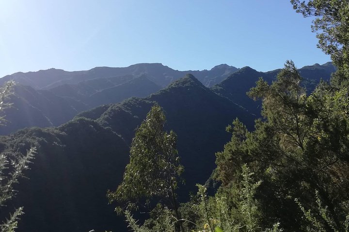 Kings Levada - São Jorge - Image 4