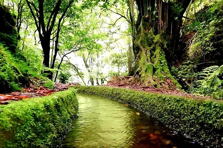 Kings Levada - São Jorge - Image 1