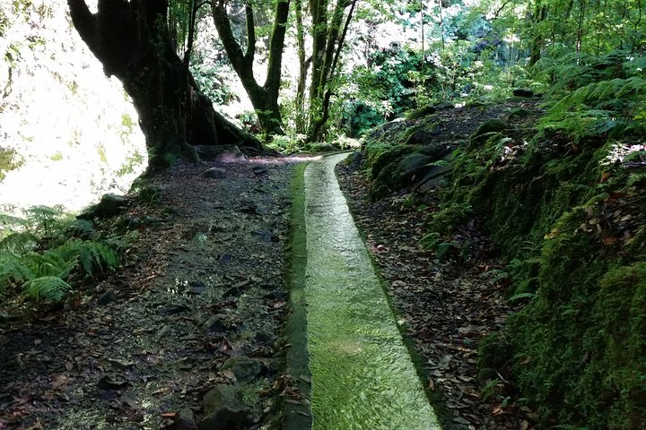 Kings Levada - São Jorge - Image 5