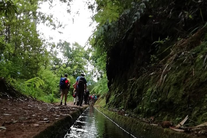 Kings Levada - São Jorge - Image 3