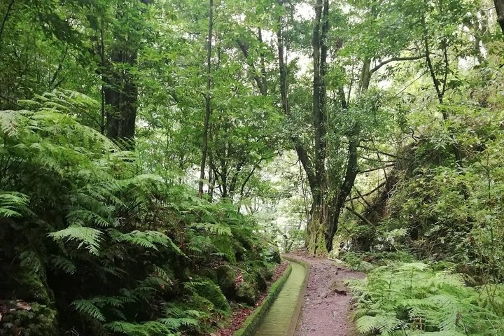 Kings Levada - São Jorge - Image 2