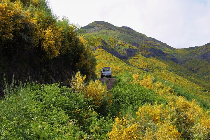 Let-Me-Surprise-You Private Full-Day Tour in a All Terrain, Open Top Car - Image 2
