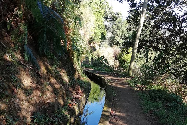 Levada da Referta - Castelejo - Image 2
