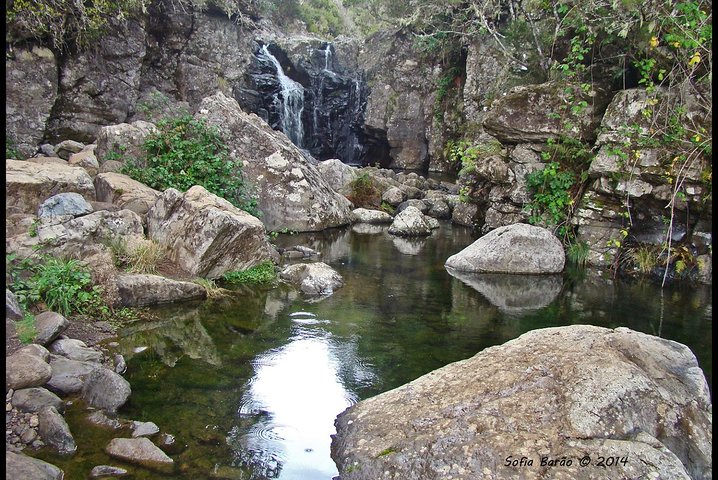 "Levada do Rosemary" - Image 3