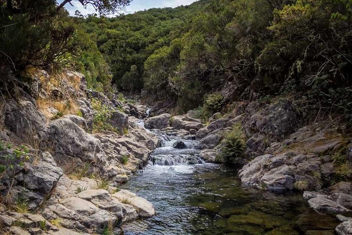 "Levada do Rosemary" - Image 4