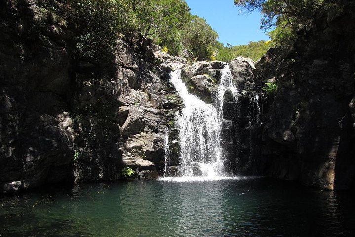 "Levada do Rosemary" - Image 1