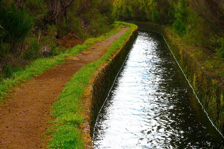 "Levada do Rosemary" - Image 5