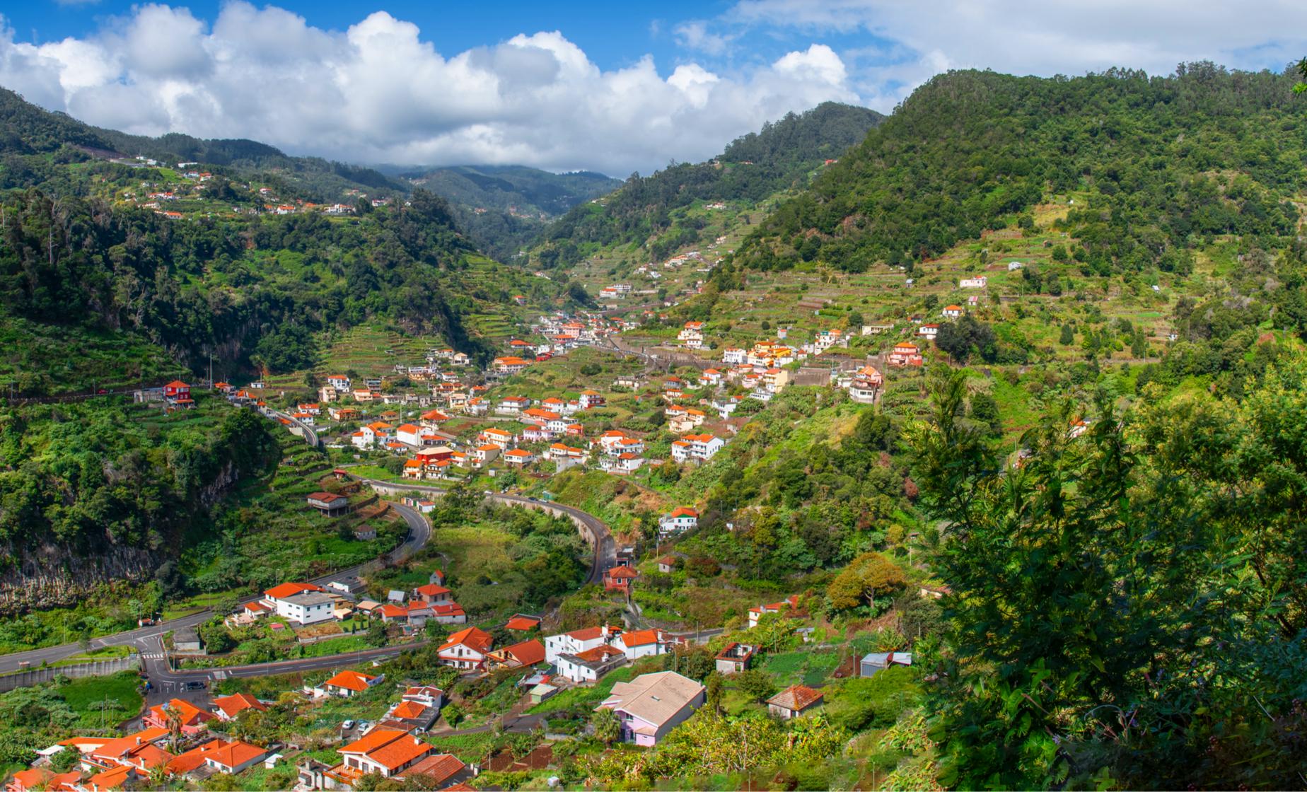 Levada Mimosa Valley Walk - Image 1