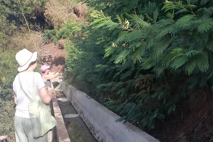 Levada Serra D´Agua - Image 5