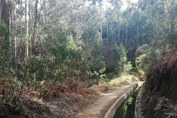Levada Serra D´Agua - Image 2