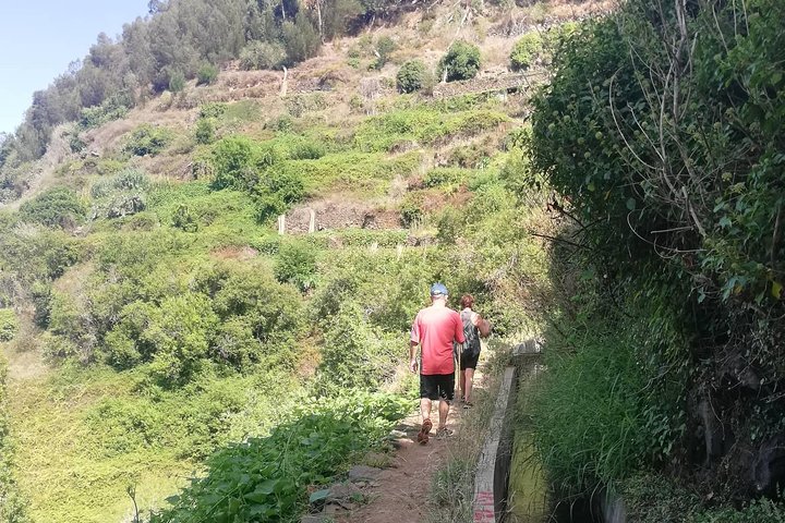 Levada Serra D´Agua - Image 4