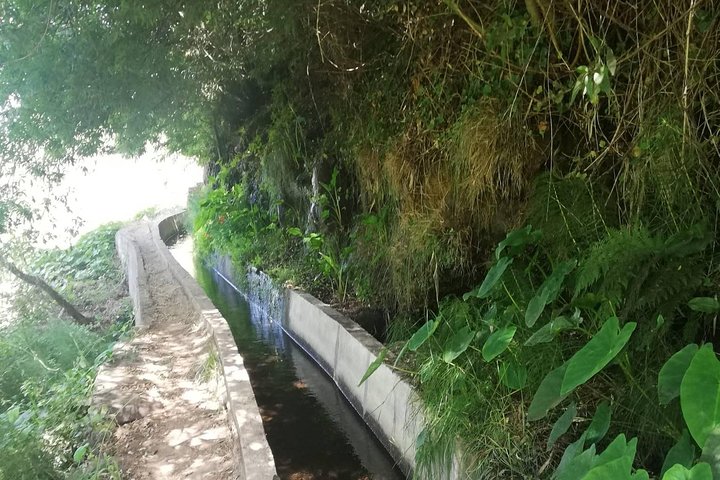 Levada Serra D´Agua - Image 3